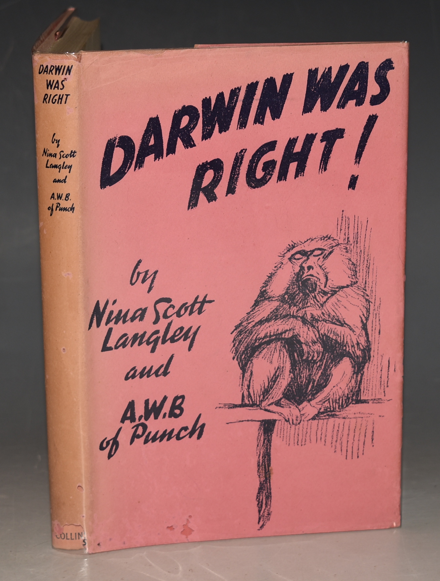 Darwin Was Right! “A.W.B.” of Punch.