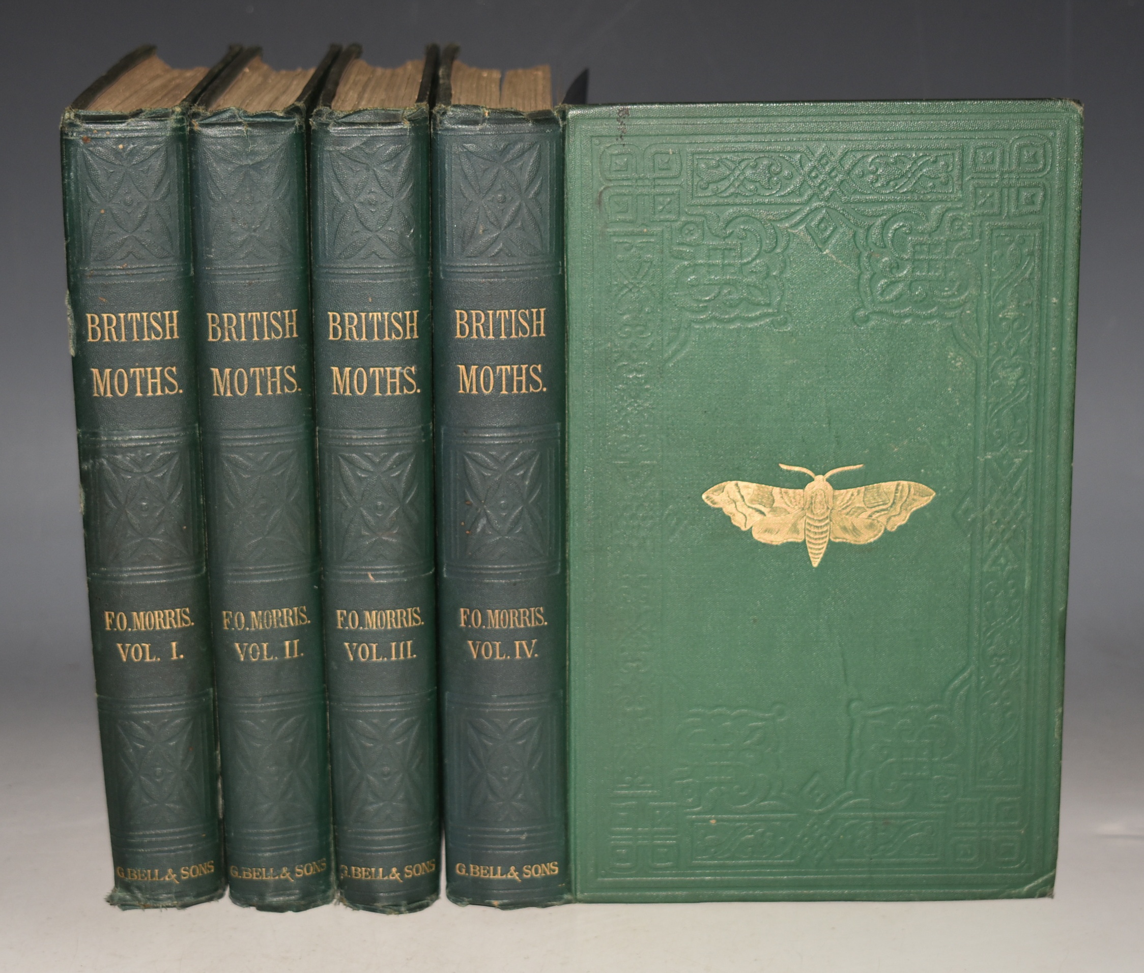 A Natural History of British Moths. Accurately delineating every known species, with the English as well as scientific names, accompanied by full descriptions, date of appearance, lists of the localities they haunt, their food in the caterpillar state, and other features of their habits and modes of