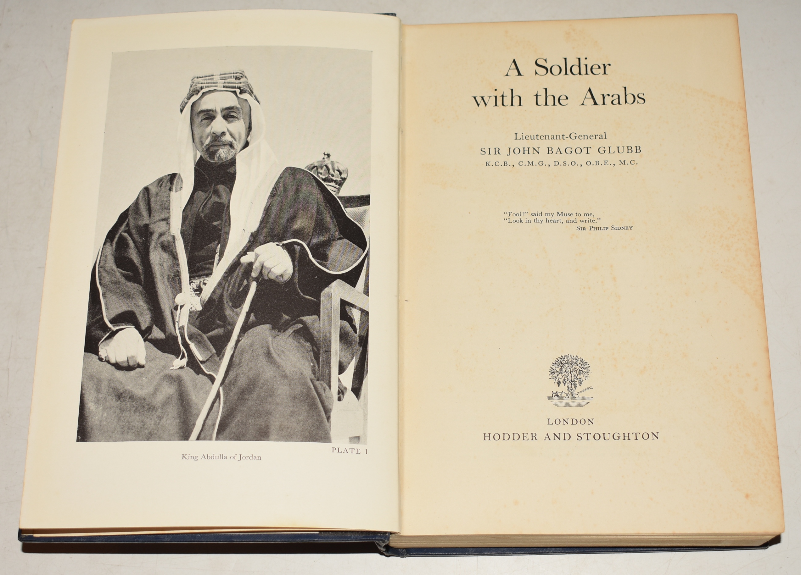 A Soldier with the Arabs.