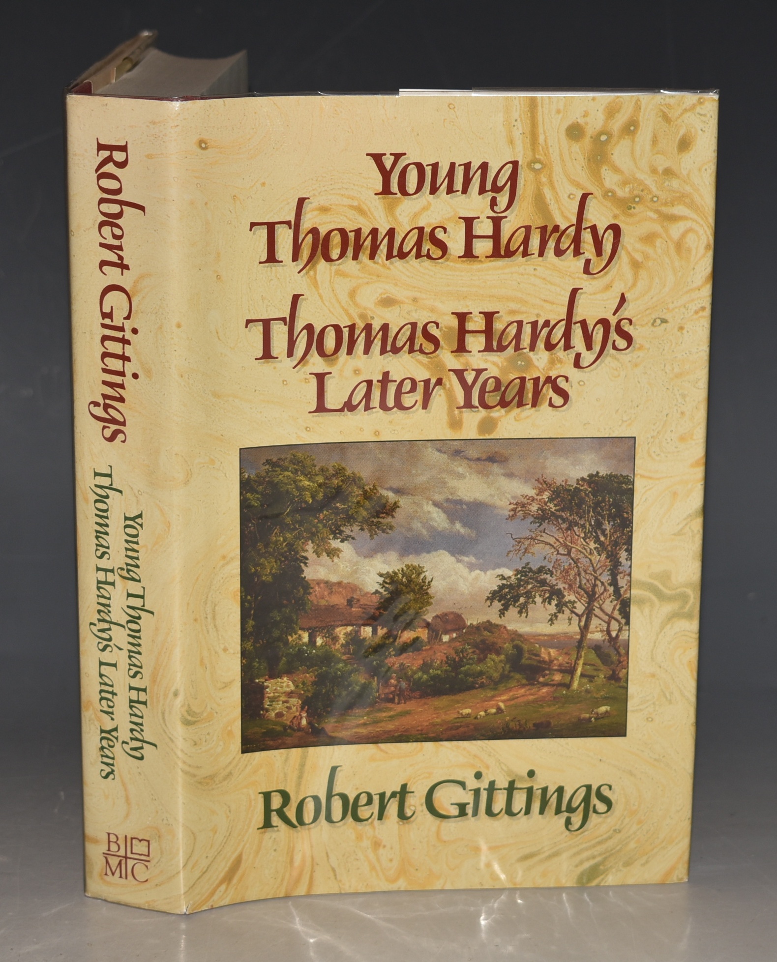 Young Thomas Hardy. Thomas Hardy’s Later Years