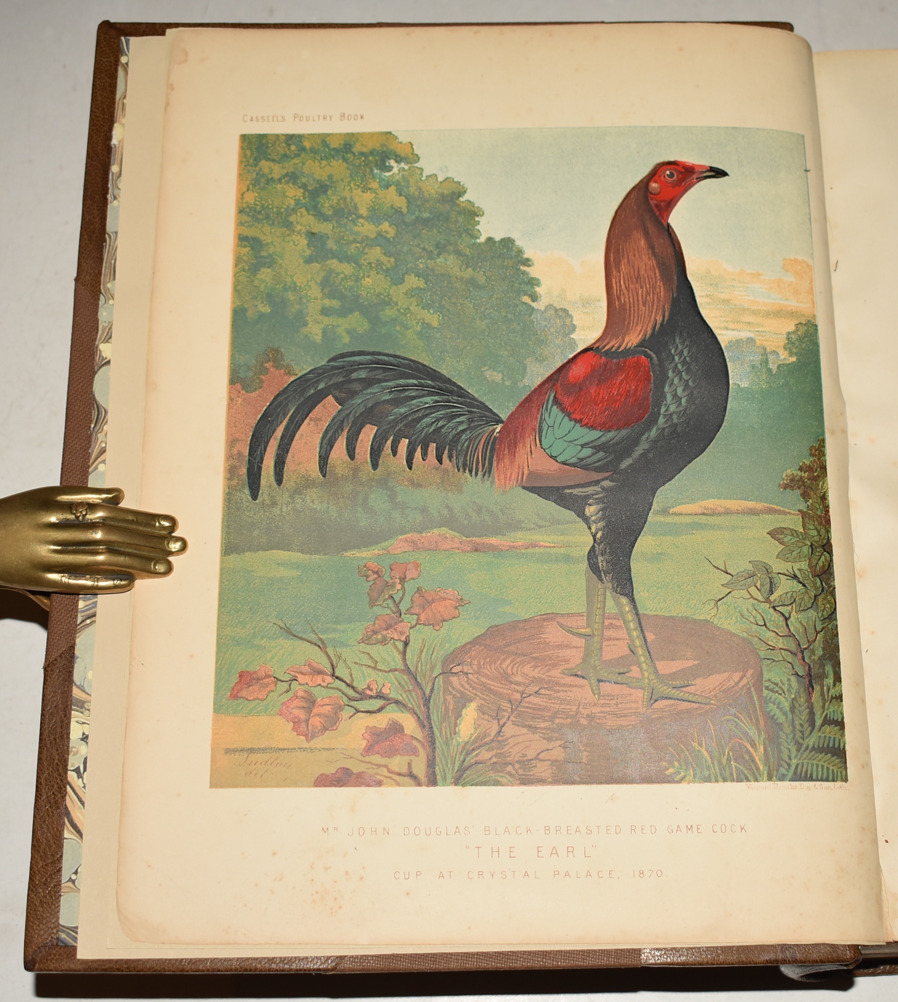 The Book of Poultry. With Practical Schedules for Judging constructed from actual Analysis of the Best Modern Decisions.