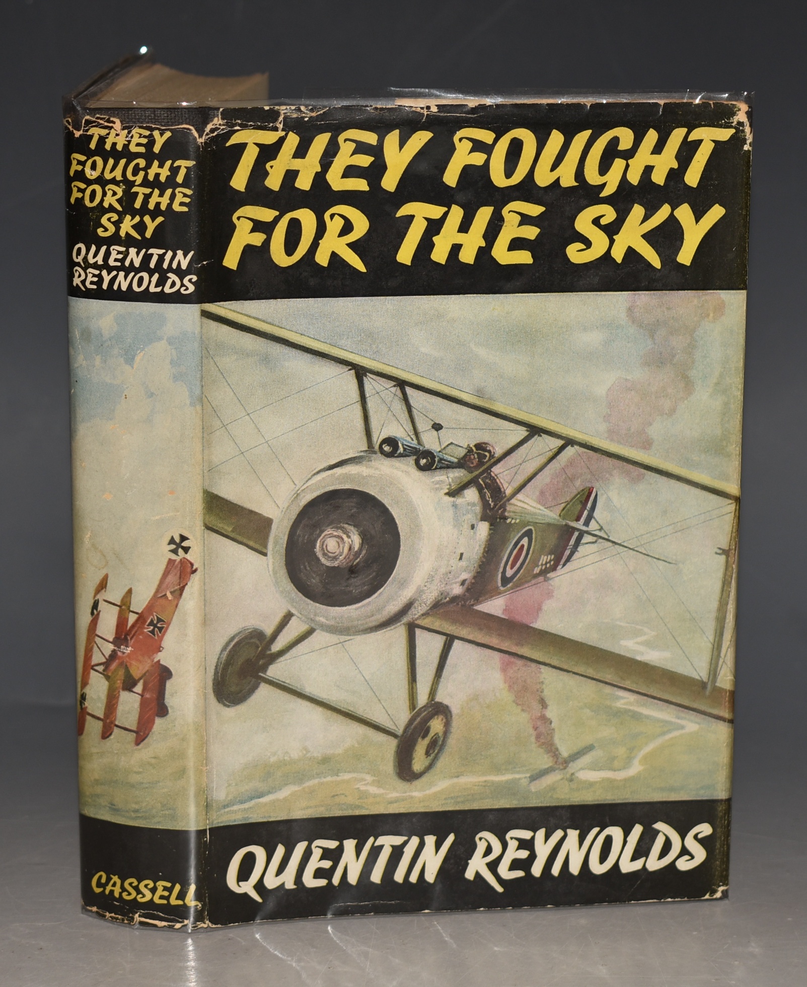 They Fought for the Sky The story of the First War in the Air