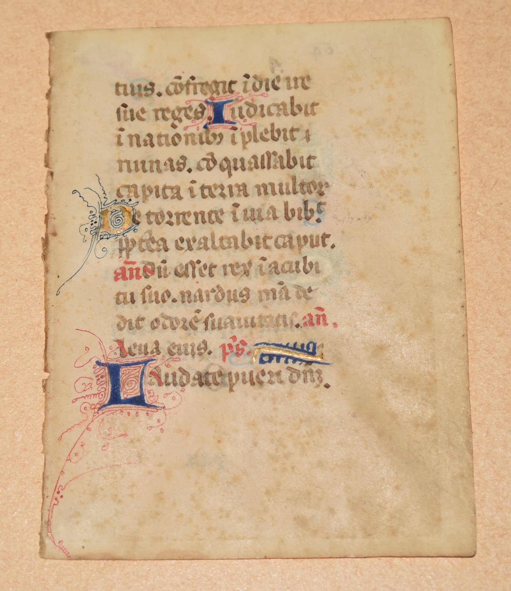 Original ILLUMINATED Vellum LEAF from Miniature Book of Hours (Use of Rone). Illuminated Manuscript Leaf (School of Paris) The style of the illumination would reflect the artistic traditions of the School of Paris, which was a major centre for manuscript production in the 13th century.