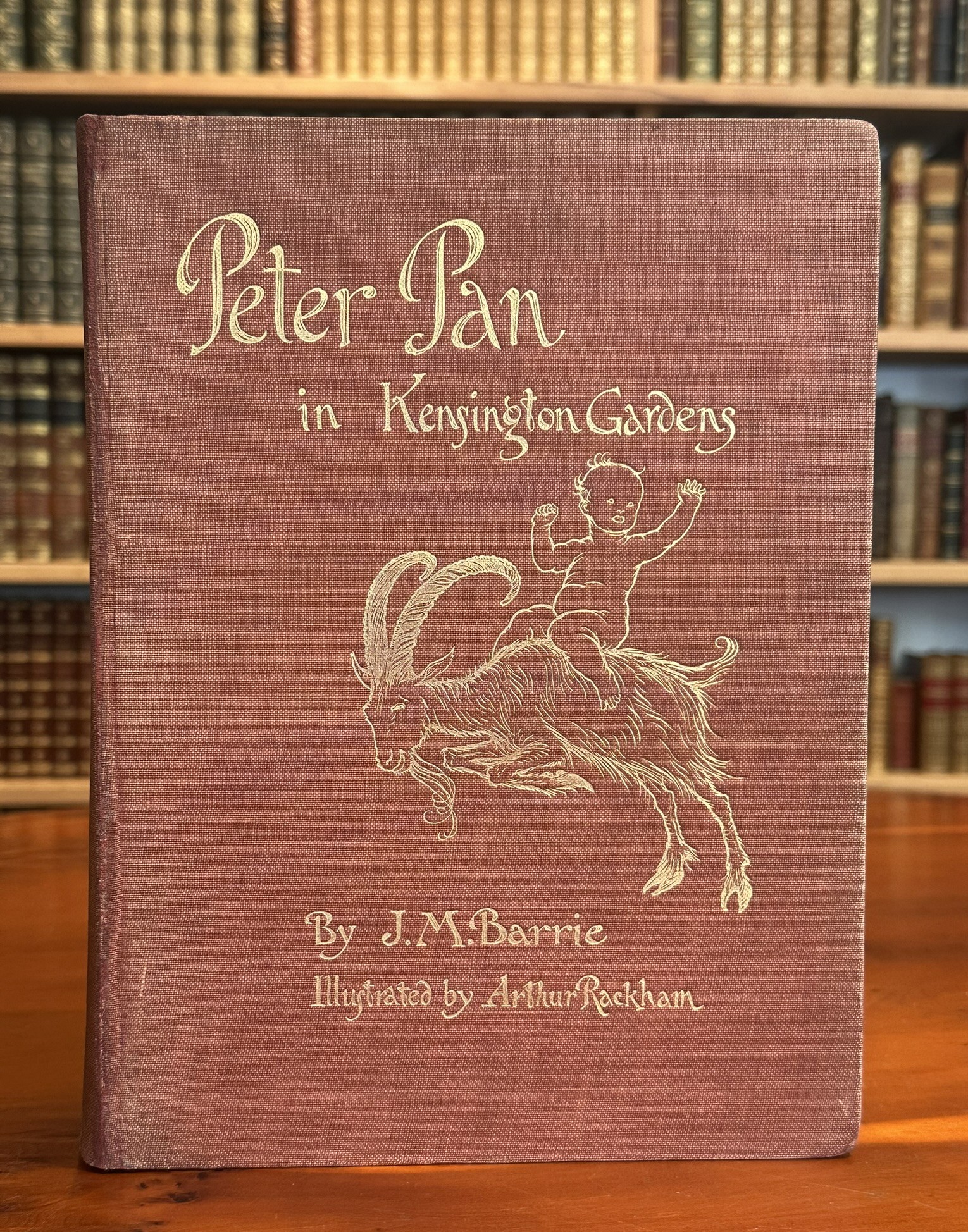 Peter Pan in Kensington Gardens. From “The Little White Bird.” With Drawings by Arthur Rackham.