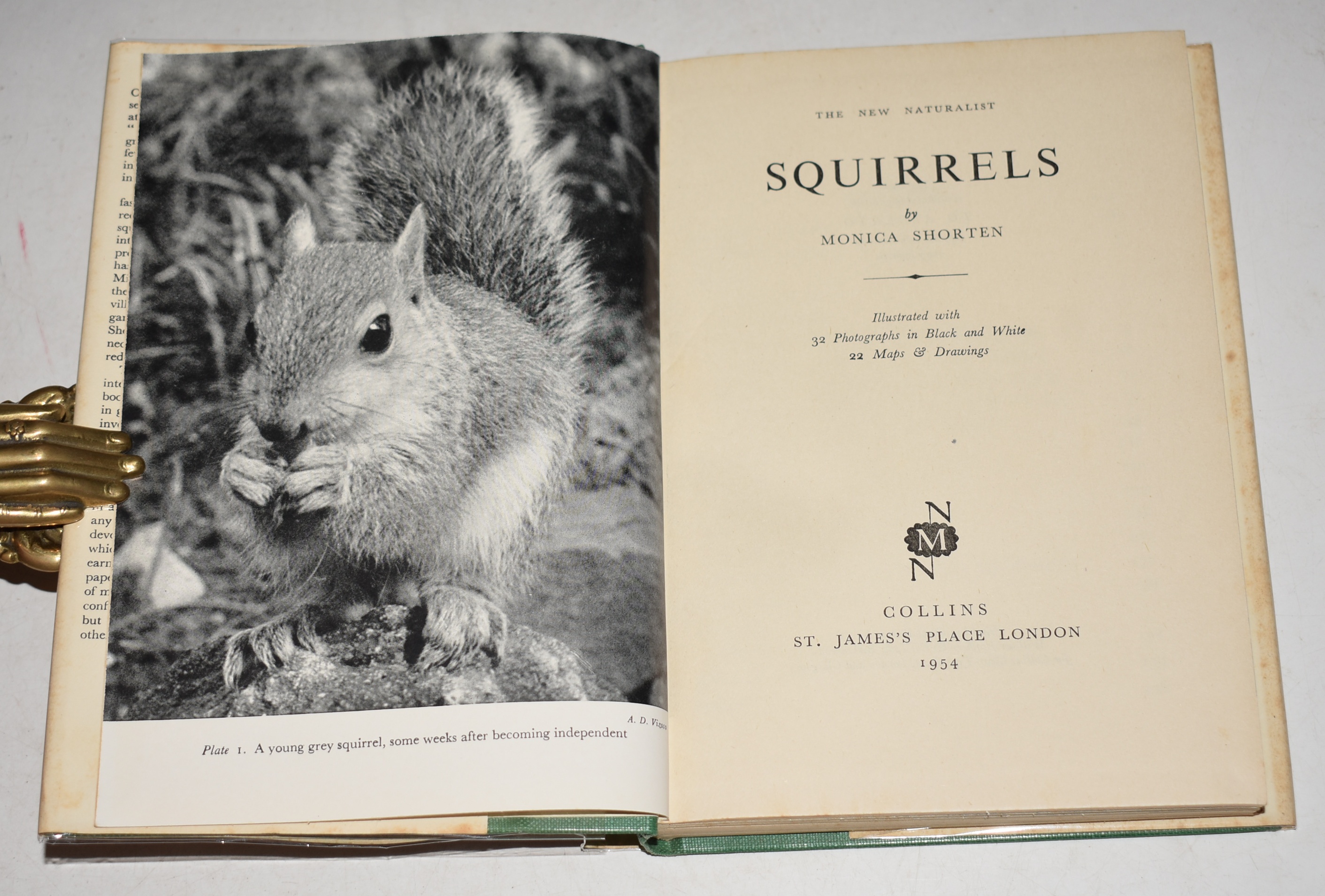 Squirrels. (12). (The New Naturalist Monograph/Special Volume).