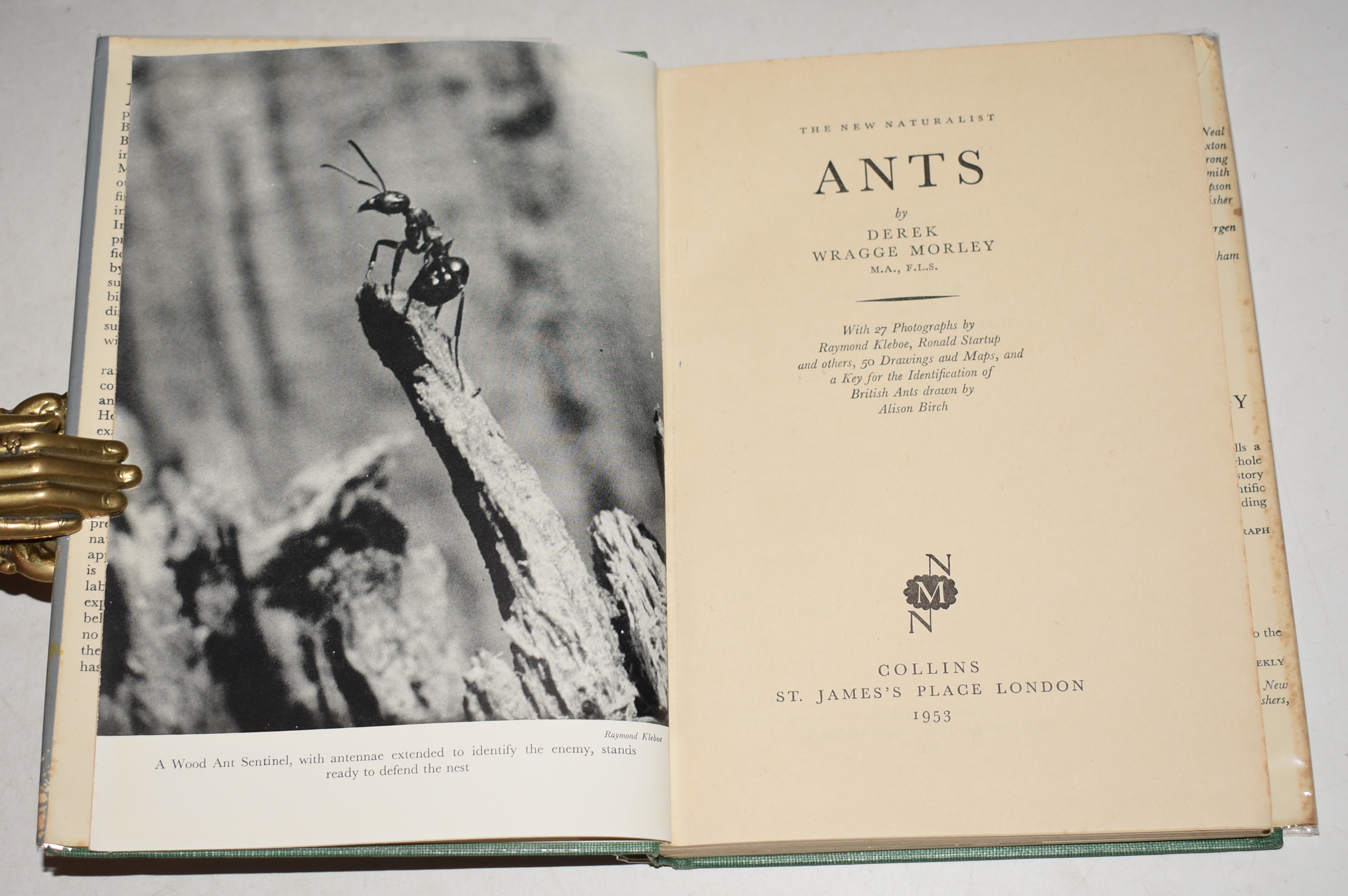 Ants. (8) (The New Naturalist Monograph).