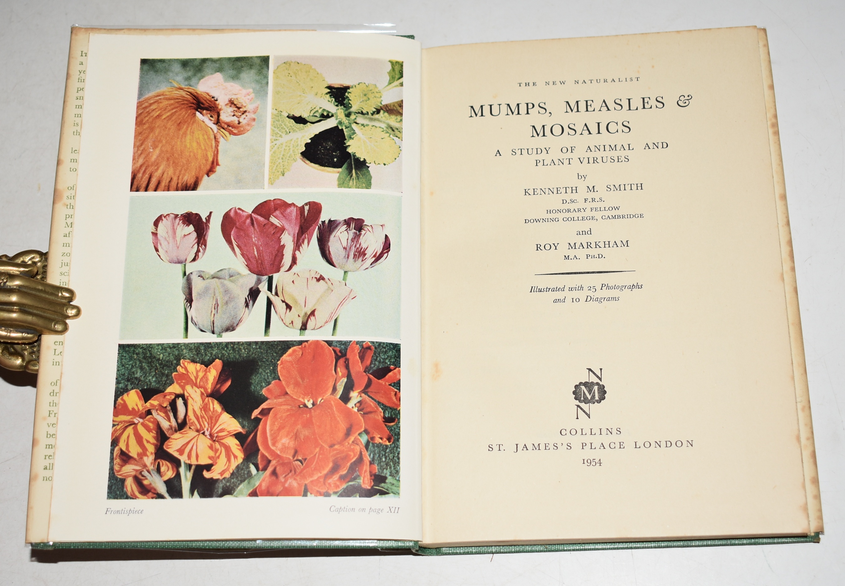 Mumps Measels & Mosaics (10) (The New Naturalist Monograph 10).