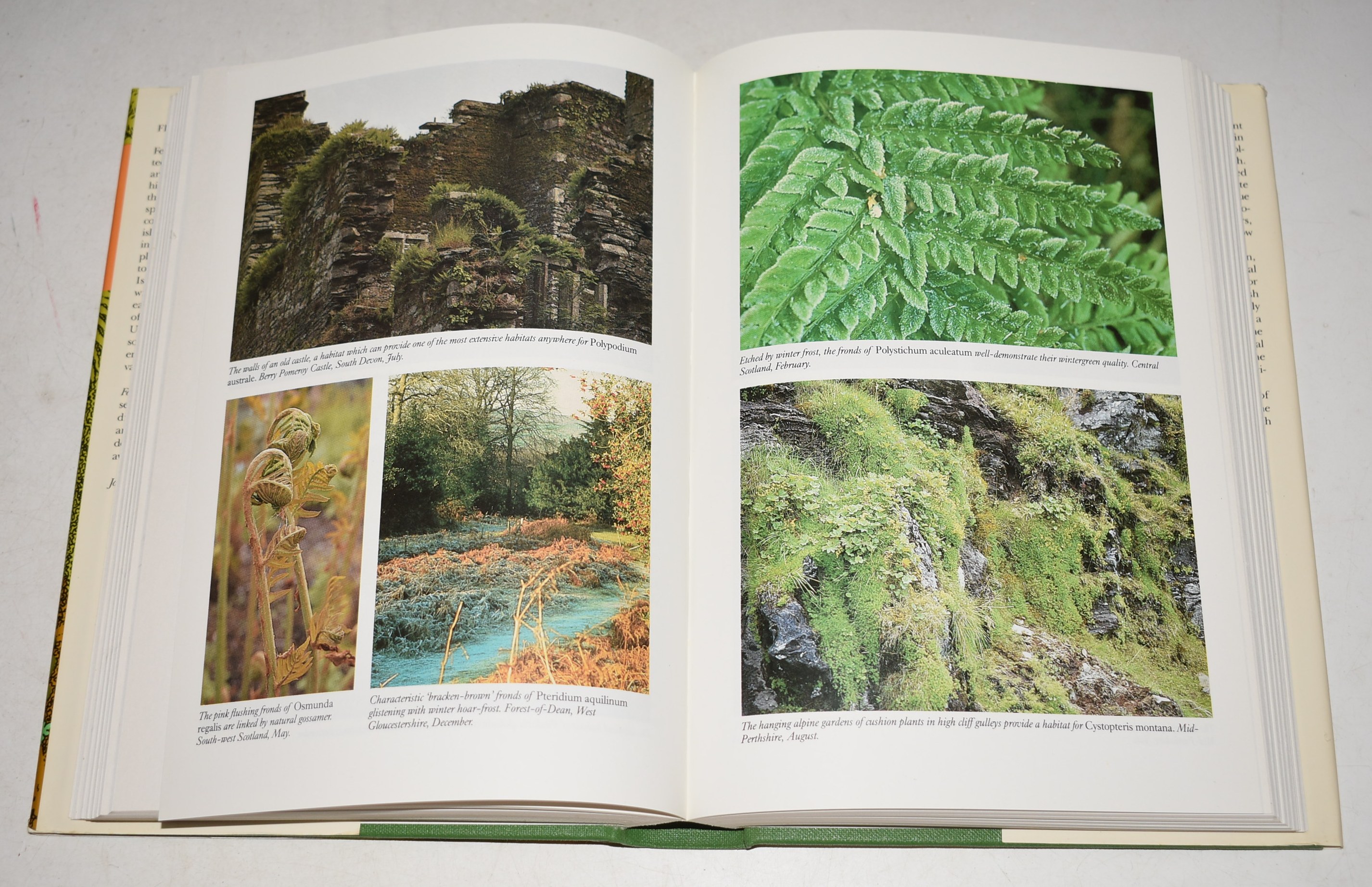 Ferns. (74) (The New Naturalist 74).