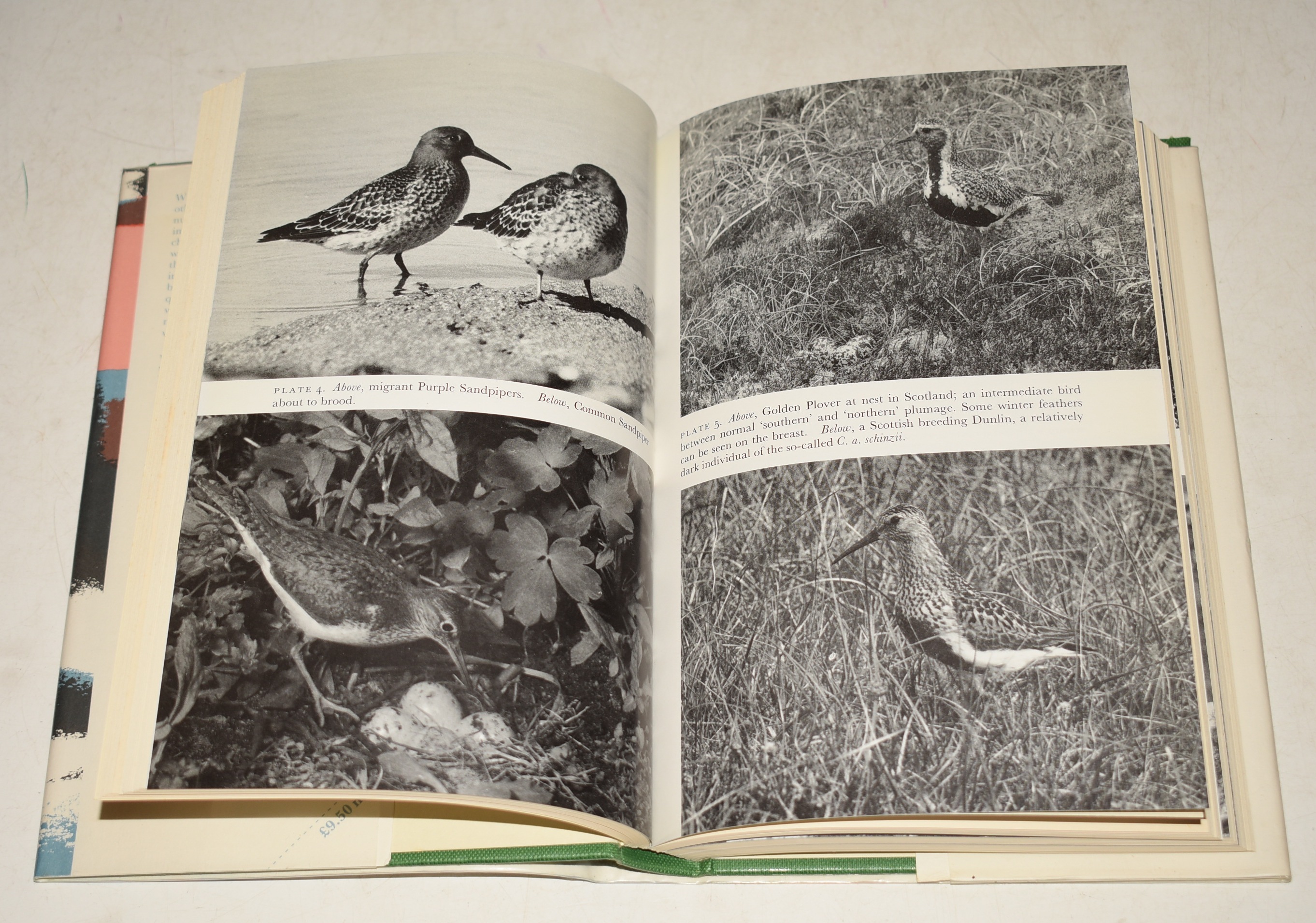 Waders. (65) (The New Naturalist 65).